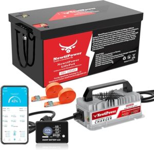 11. NewtiPower 48V Lithium Golf Cart Battery