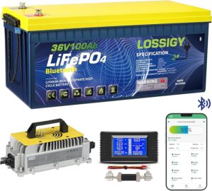 2. LOSSIGY 36 Volt Lithium Trolling Motor Battery